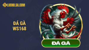 Đá gà WS168